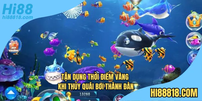 Tận dụng thời điểm vàng khi thủy quái bơi thành đàn
